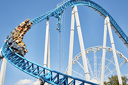 DVC